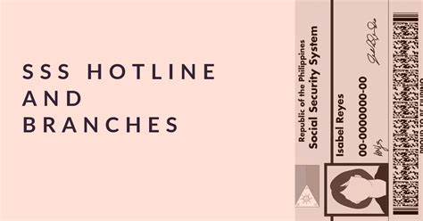 sss main branch|SSS Hotline and Branches 2019 .